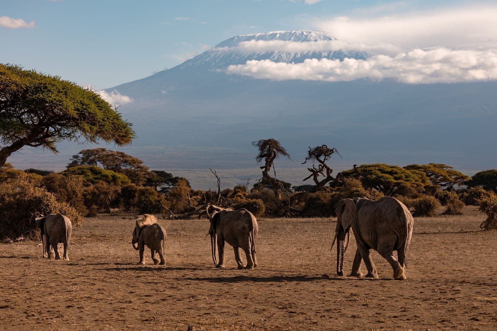 Amboseli National Park: The Complete Guide