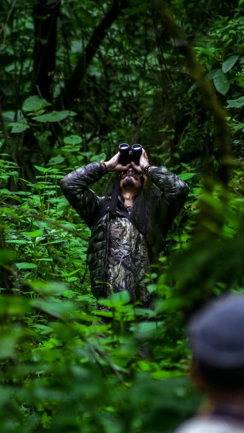 Birding in Uganda: The Complete Guide