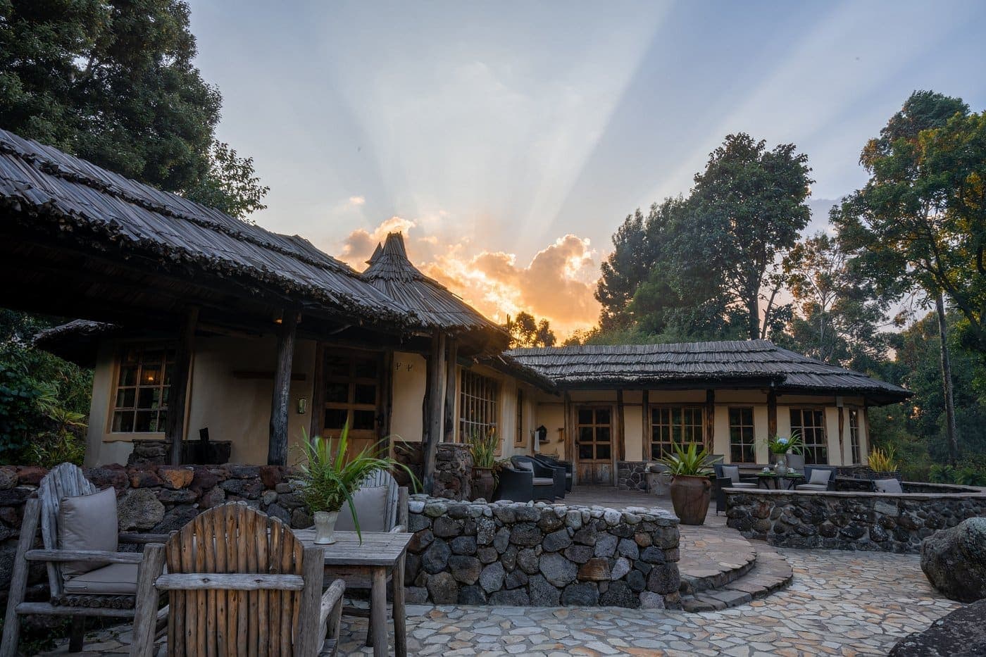Mgahinga Gorilla National Park & Golden Monkey Trekking