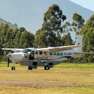 A single-engine Cessna Caravan parked on a grass airstrip surrounded by trees