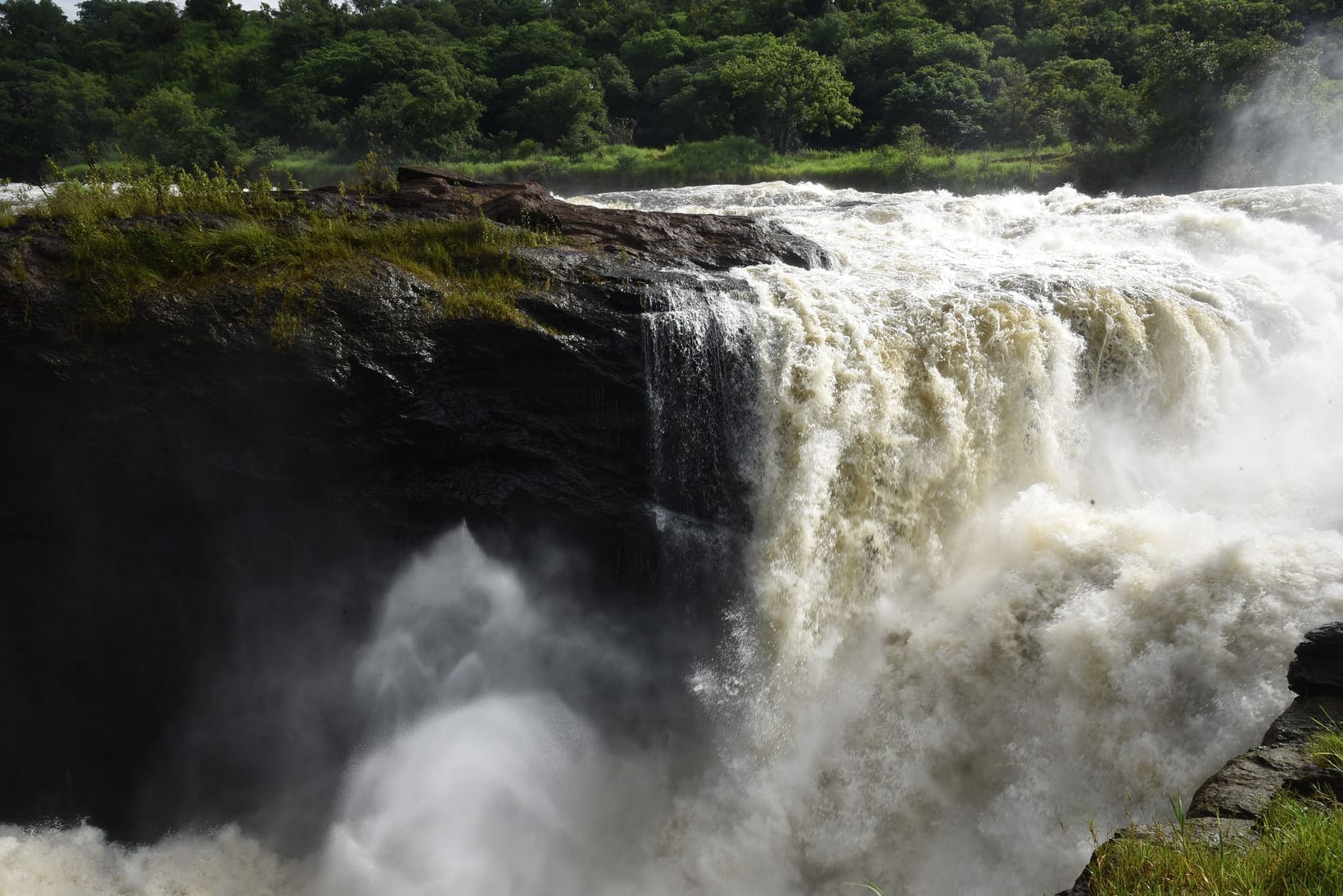 Murchison Falls National Park: The Complete Safari Guide