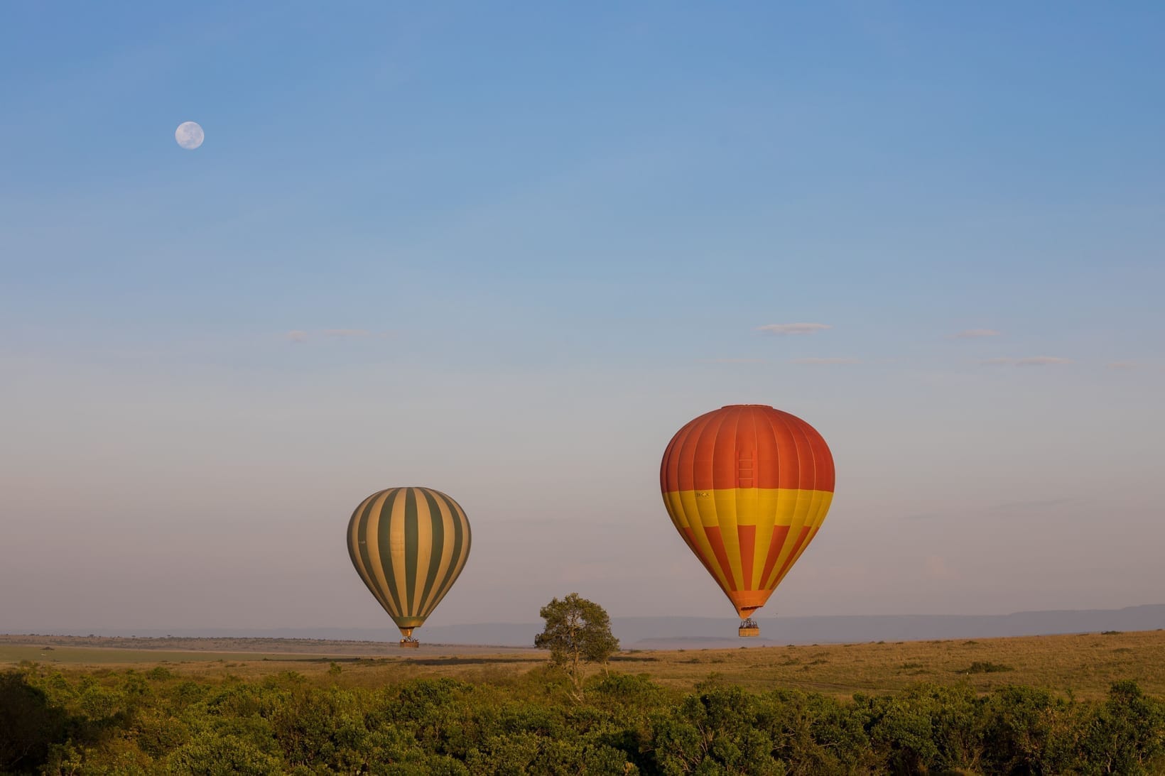 Zwei Heißluftballons, die im ersten Morgenlicht über offene Ebenen treiben
