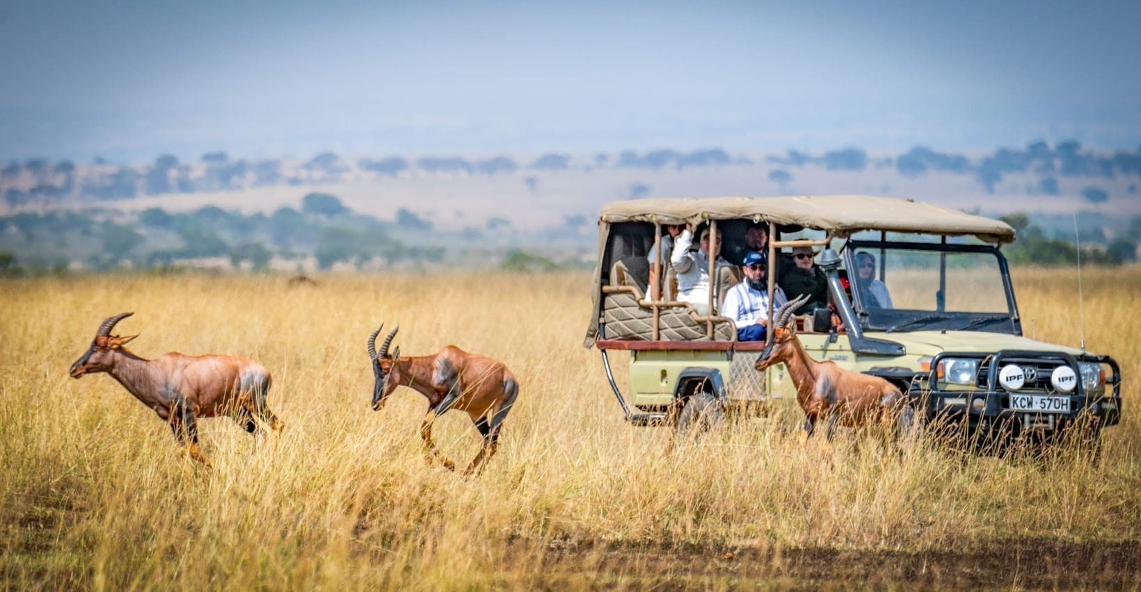 Self-Drive or Driver-Guide? Safari Vehicles in Uganda Explained