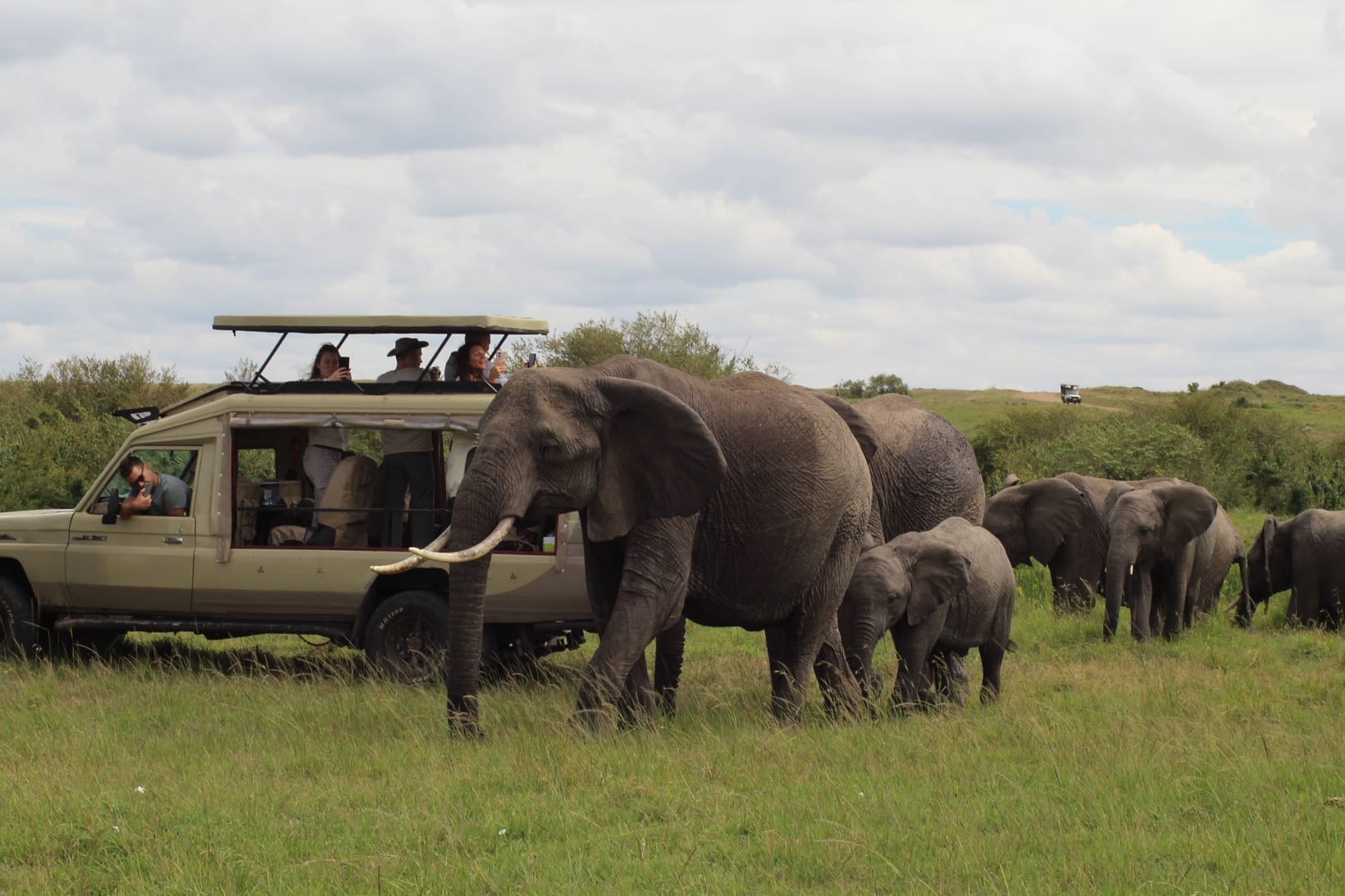 A safari vehicle stopped beside a family of elephants during a game drive