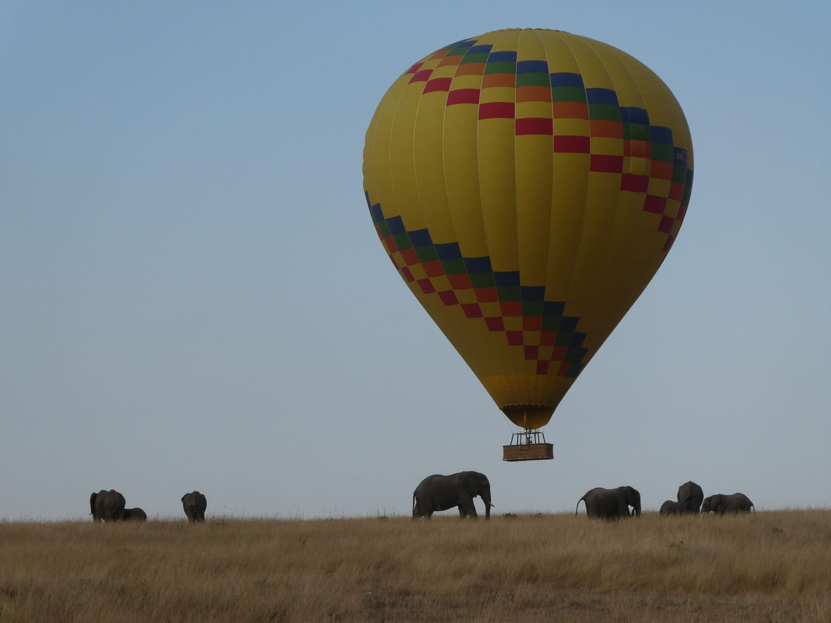 A hot air balloon drifting low over plains with elephants below
