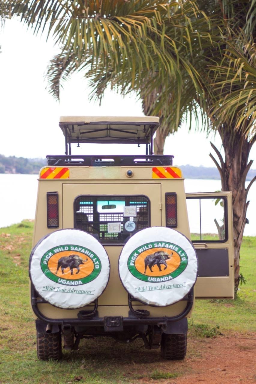 Deux Semaines en Ouganda : Le Circuit Occidental Complet