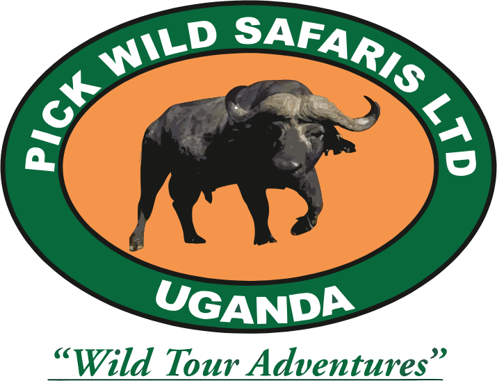 Pick Wild Safaris